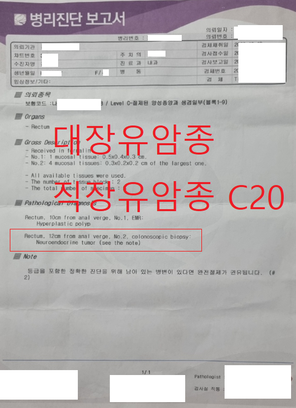 대장 유암종(C20)  점막내암 주장에 대한 반박과 보험금 전액 수령 사례