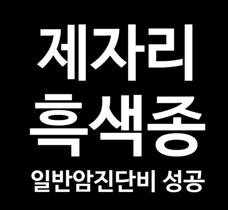 흑색종 제자리암