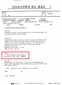 신경내분비종양 암진단비