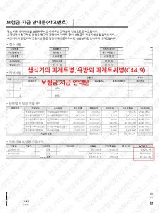 파제트병