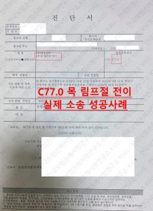 목림프절전이 진단서 