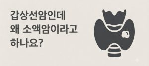 갑상선암 진단비