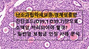 난소과립막세포종. 난소경계성종양