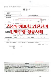 직장단체보험
