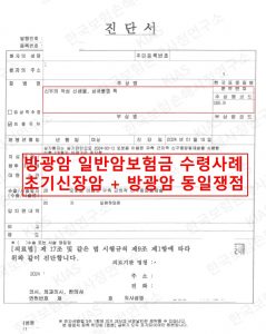 방광암 암진단비 