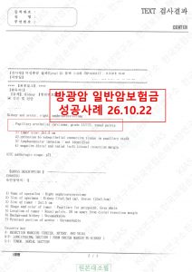 방광암 암진단비 
