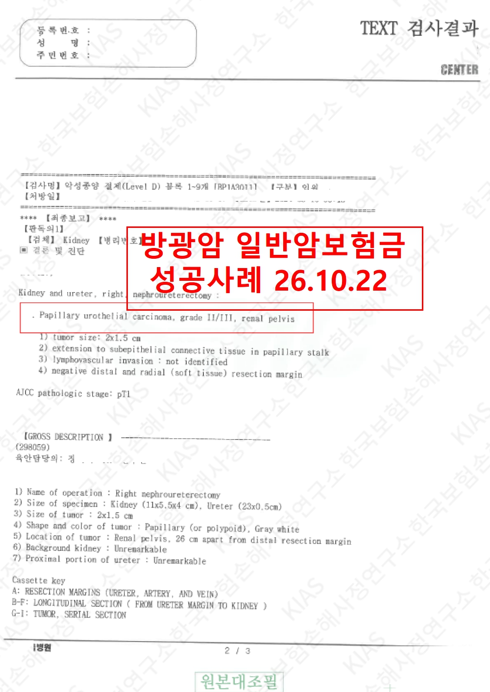 방광암 암진단비